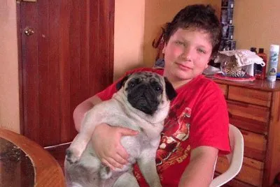 פאזל של Pug