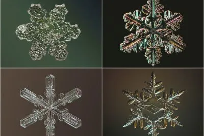 פאזל של copos de nieve