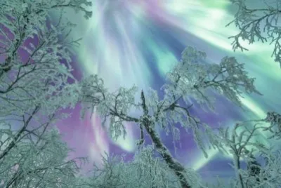 Ãrboles llenos de nueve junto a la hermosa aurora