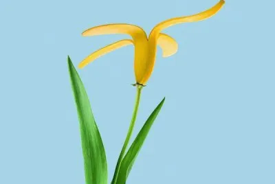 Arte de Mohaned El Nagdy 5