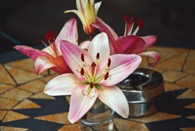 Baltikum / Kaunas / Litauen