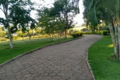delfinÃ³polis