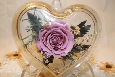 Freeze Dried Rose in Glass Heart