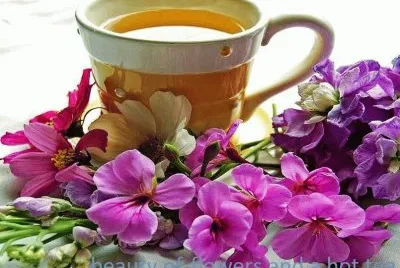 Beauty of Flowers and a Hot Tea-YUMMY!