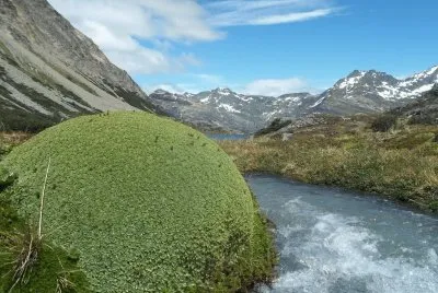 Lago Paso Valdivieso. Tierra del Fuego. Argentina