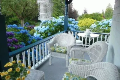 Beautiful Hydrangeas Surrounding Charming Porch