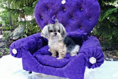 Purple Princess Dog Bed