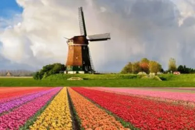 rosanamottola jigsaw puzzle
