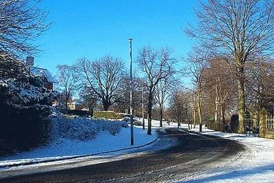 Cantelupe Snow