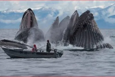 PESCANDO BALLENAS