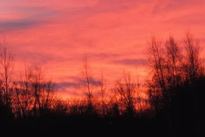 Brilliant sunrise over the field