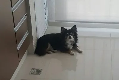 Nick na sacada de seu Apartamento