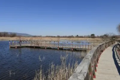 פאזל של Tablas de Daimiel, EspaÃ±a
