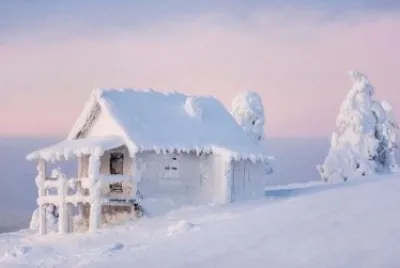 Vivienda y Ãrbol Nevados - Finlandia