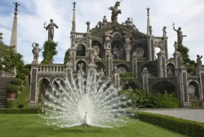 פאזל של JardÃ­n en las islas Borromeas-Italia
