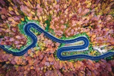 Bosque Bogata, Rumania, por Calin Stan jigsaw puzzle