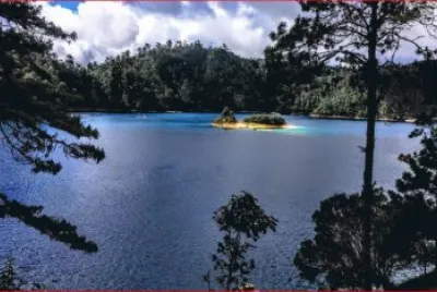 LAGO EN EL BOSQUE
