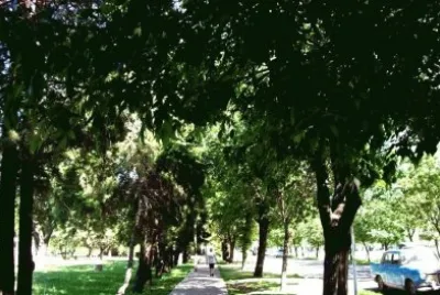 En Crespo. Entre RÃ­os. Argentina