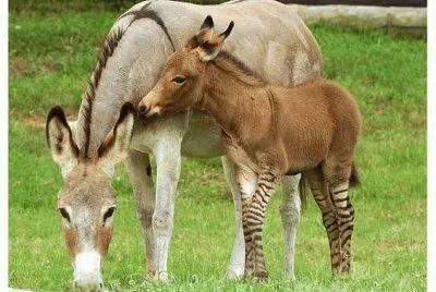 mom#231