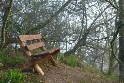 soledad jigsaw puzzle