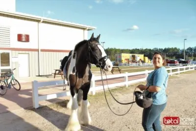 Gypsy Vanner  "Magnolia 's Two Step Dance  "Two Step "