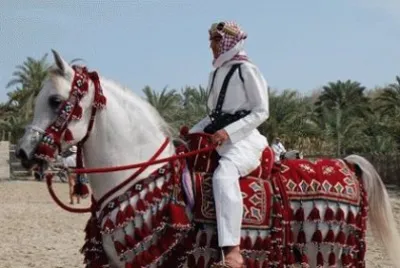 Arabian Horse Fashion Show in Bahrain