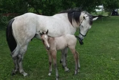 Heidi loving her baby TJ - Melodie Vosburgh