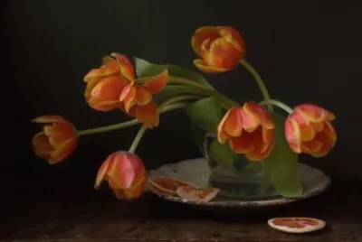 tulipes