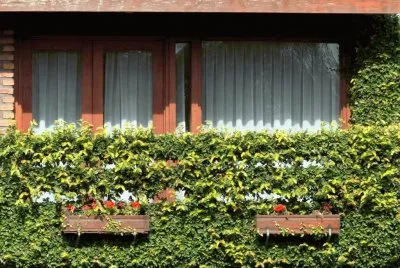 ventanal jigsaw puzzle