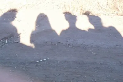 Shadows