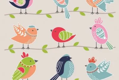 pajaro