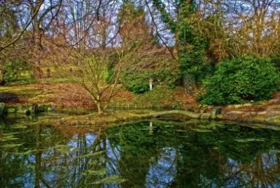 Naturaleza jigsaw puzzle