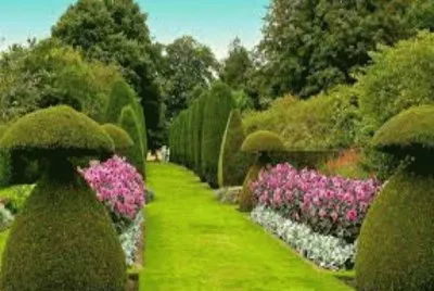 imagens jigsaw puzzle