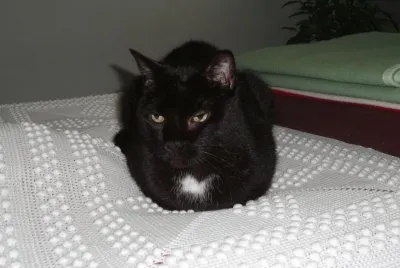 mon Tilou