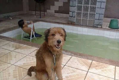 solll