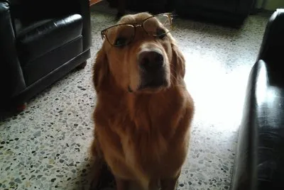 De gafitas