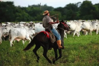Llanos apureÃ±os. Apure - Venezuela