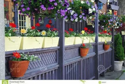 Restaurant Patio with Gorgeous Flowers