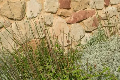 Grass textures, Australia jigsaw puzzle
