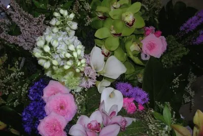 Pink and blue flower arrangement