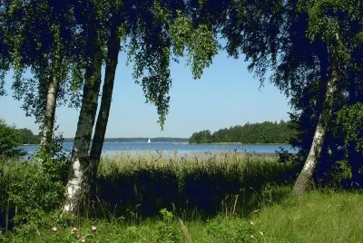 Archipelago medow