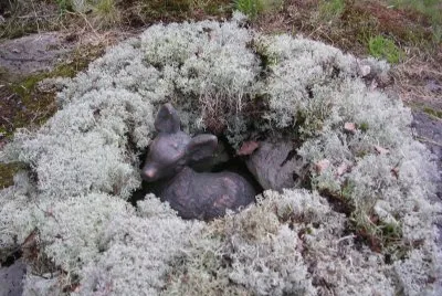 Fawn in moss, Sweden jigsaw puzzle