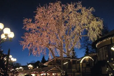 Trees decked for Christmas, Sweden jigsaw puzzle