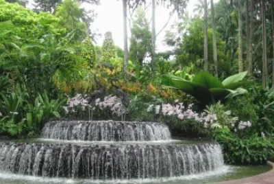 Botanical Gardens, Singapore jigsaw puzzle