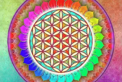 Its A Rainbow Flower
