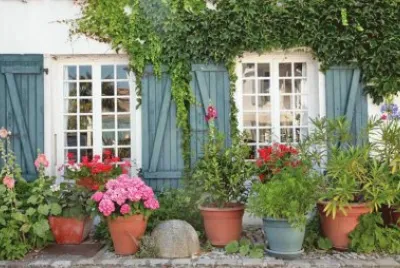 macetas en la puerta