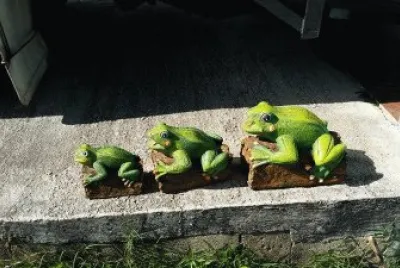Ranas