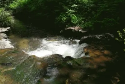 Kerosene Creek  near Rotorua