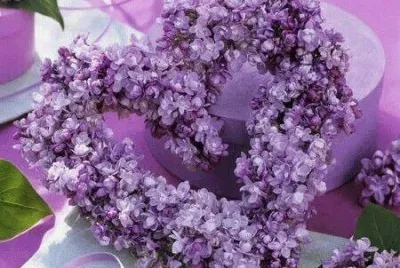 Lavender Heart Wreath