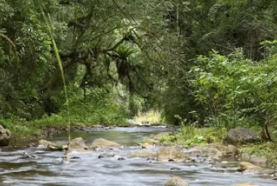 PN El Rey. Salta. Argentina